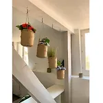 Le Marie Antoinette *