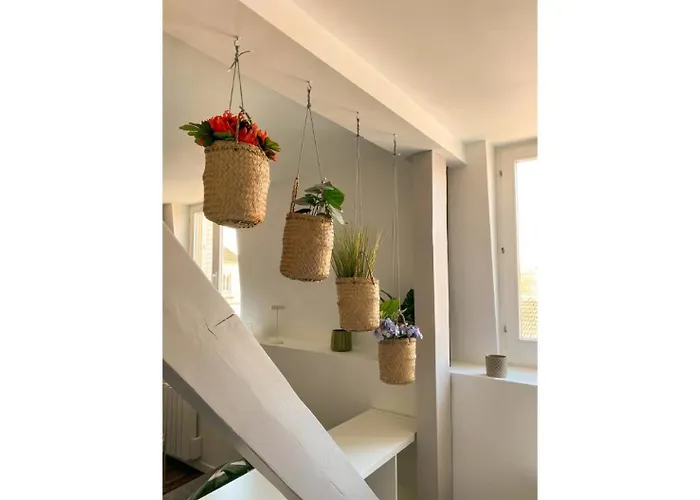 Le Marie Antoinette *